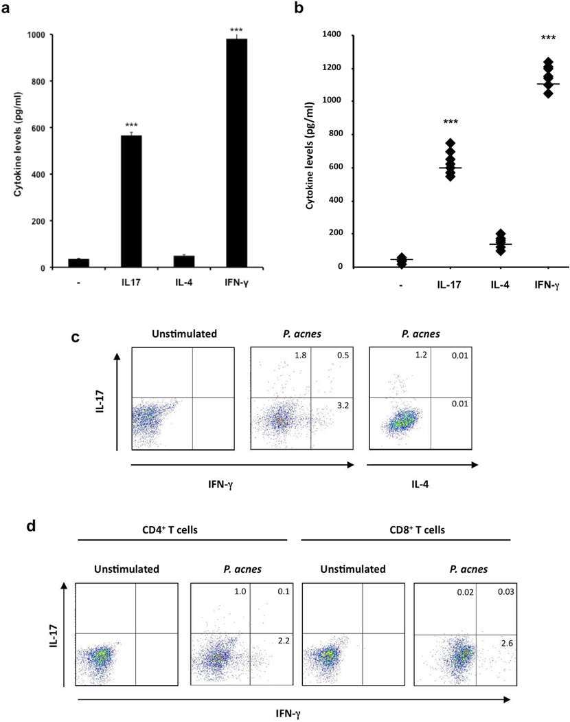 Fig.2