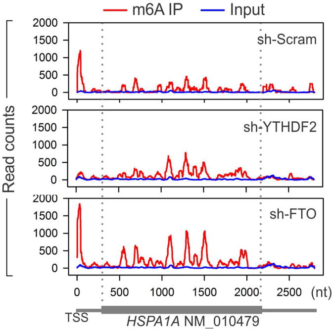 Extended Data Figure 5