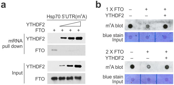 Extended Data Figure 6