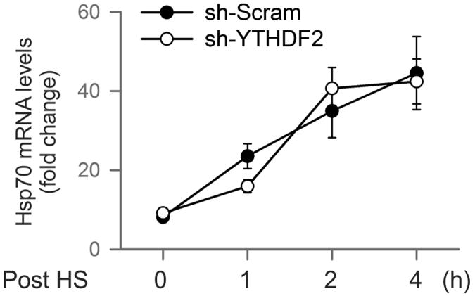 Extended Data Figure 7