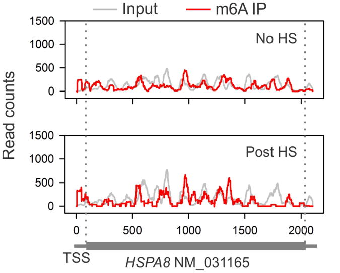 Extended Data Figure 4