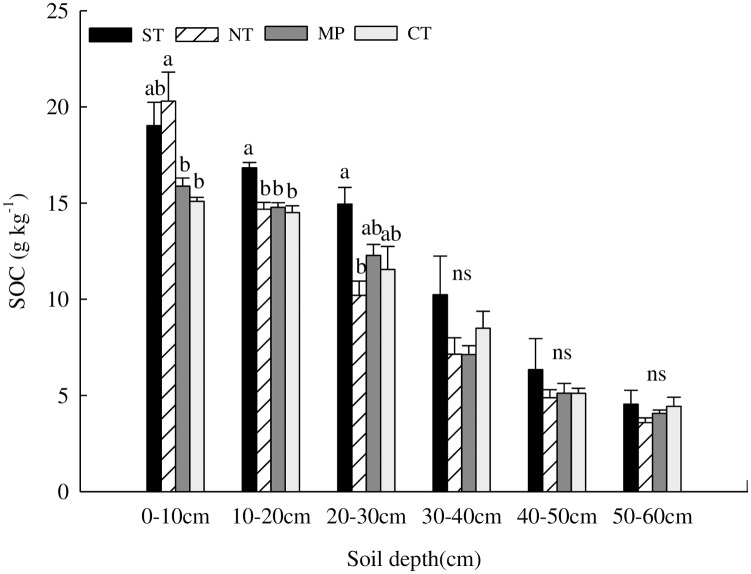 Fig 5