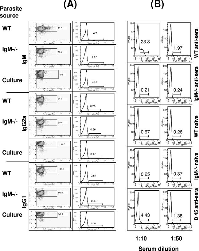 FIG. 6.