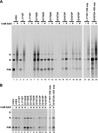 FIG. 2.