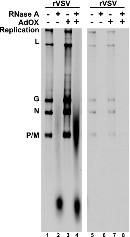 FIG. 5.