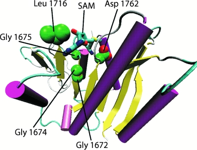 FIG. 1.