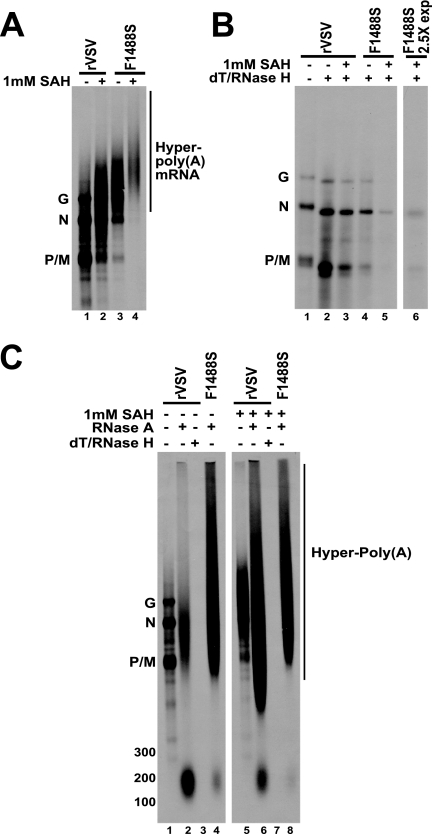 FIG. 4.