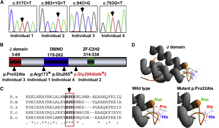 Figure 1