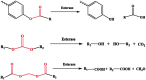 graphic file with name IDRD_A_1588424_ILG0001.gif