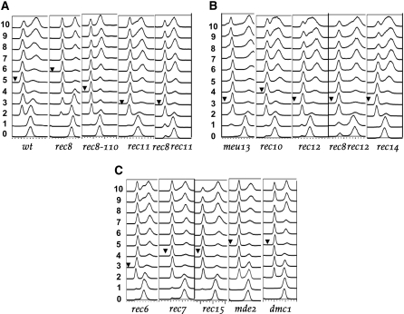 Figure 3.—