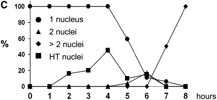 Figure 2.—