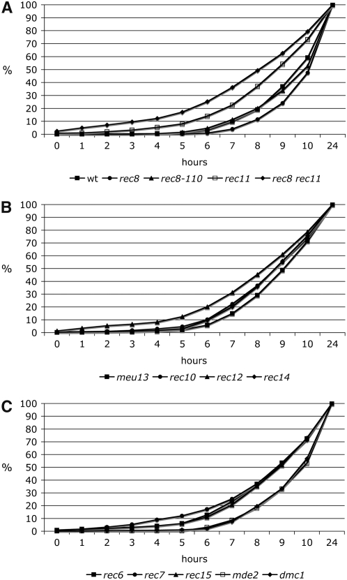 Figure 5.—