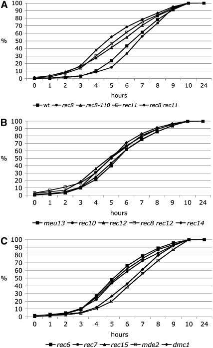 Figure 4.—