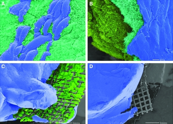 FIG. 7.