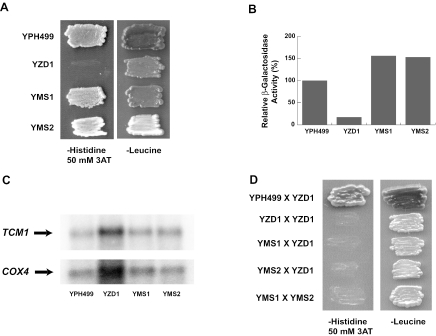 FIG. 7.