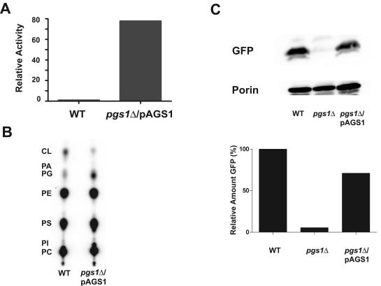 FIG. 2.