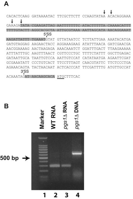 FIG. 4.