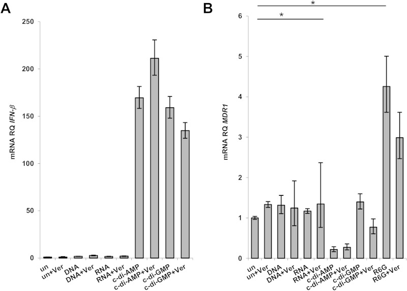 FIG 4