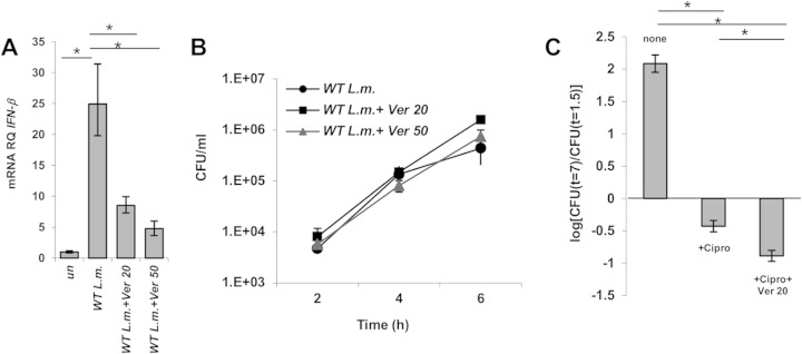 FIG 2