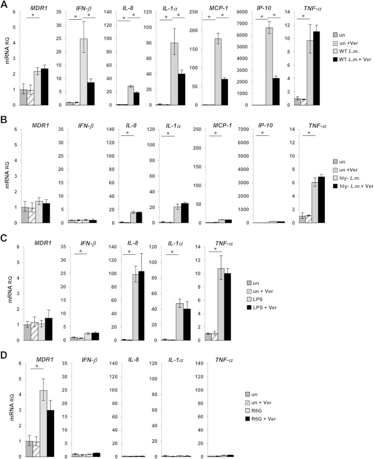 FIG 3