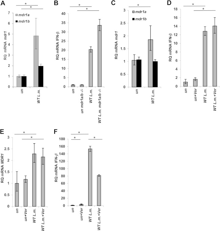 FIG 6