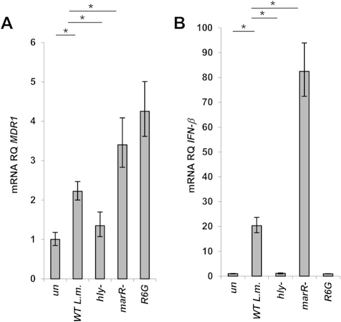 FIG 1