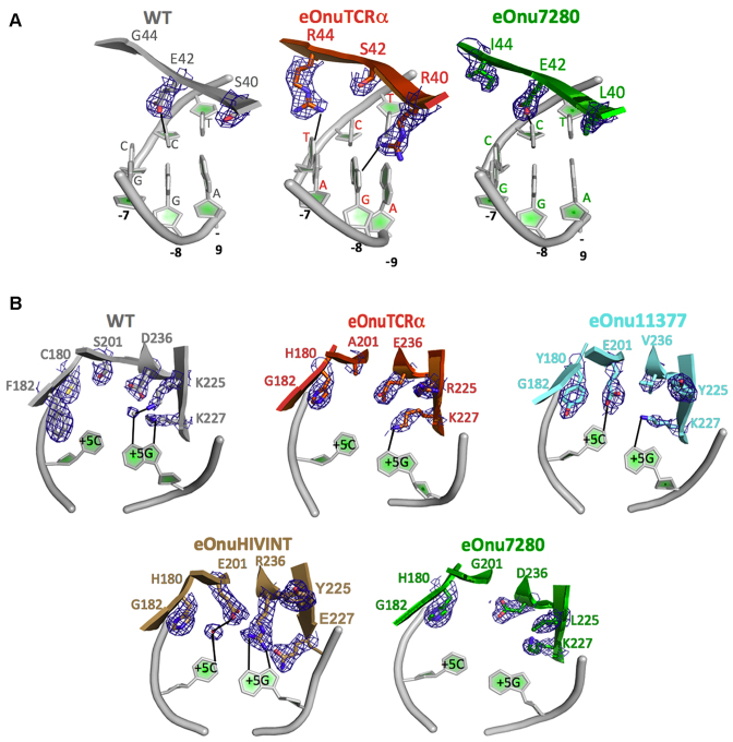 Figure 6.