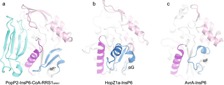 Fig. 6