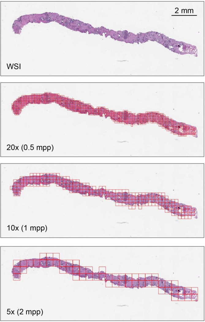 Extended Data Fig. 7 |