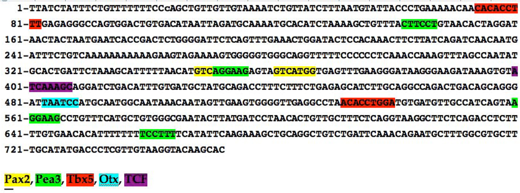 Figure 5