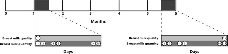 Figure 3