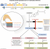 Graphical Abstract