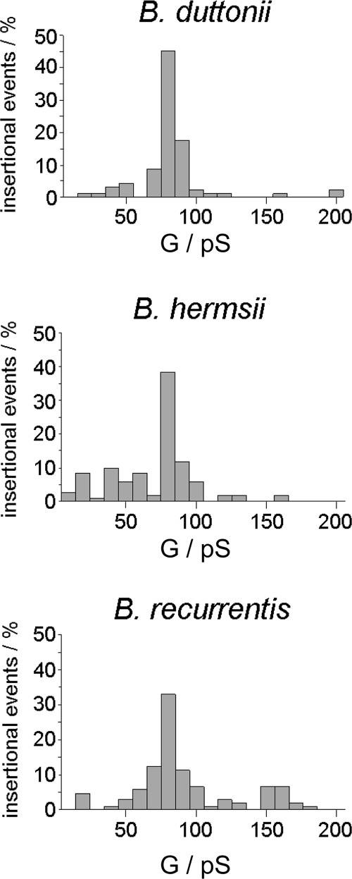 FIG. 5.