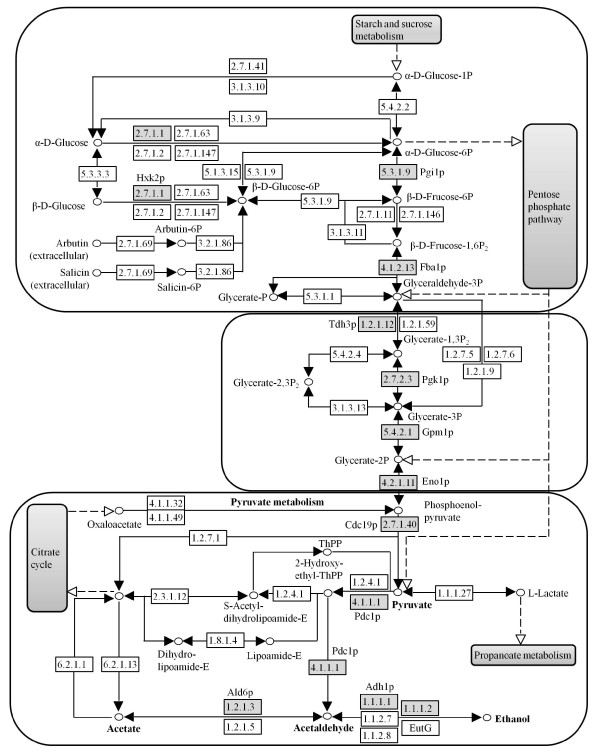 Figure 4 