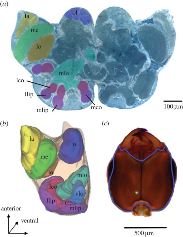 Figure 1.