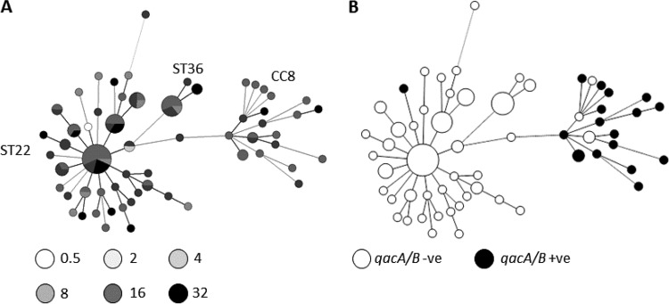 FIG 3 