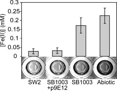 FIG. 2.