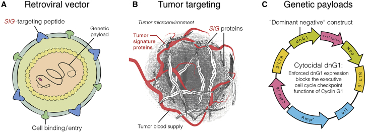 Figure 1