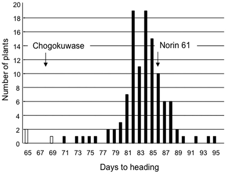 Fig 5