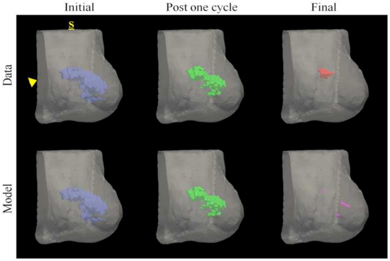 Figure 6