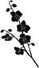 graphic file with name ECE3-11-11749-g007.jpg
