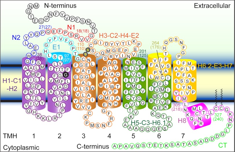 FIGURE 4.