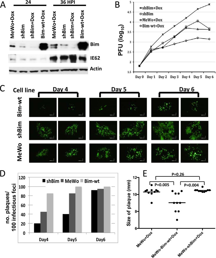 FIG 3