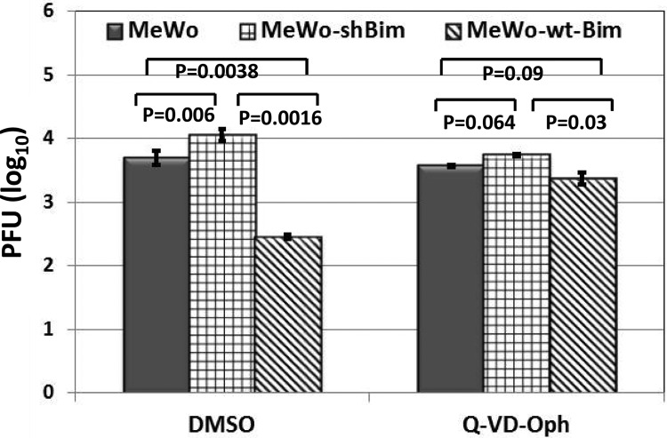 FIG 5