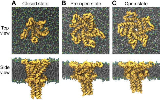 Figure 1.