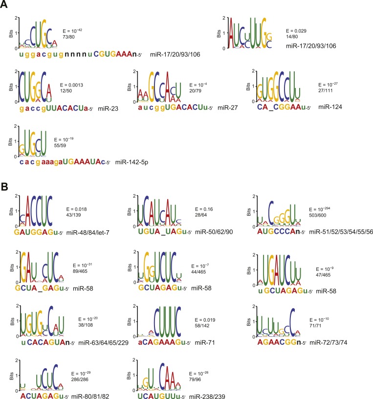 Figure 2—figure supplement 2.