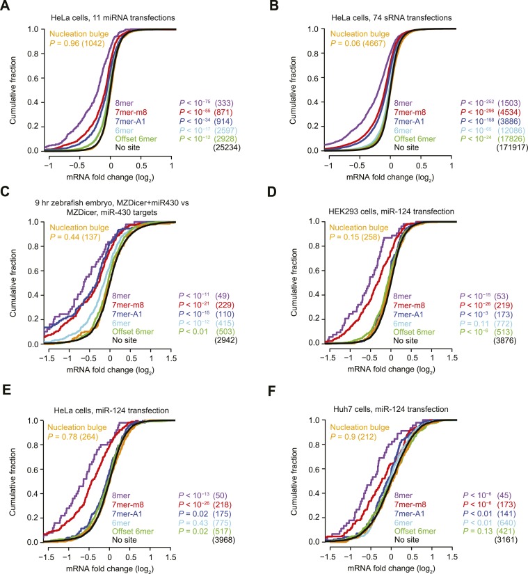 Figure 1—figure supplement 1.