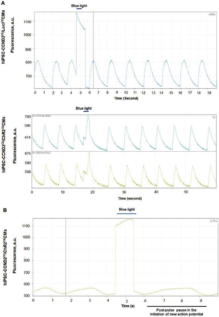 FIGURE 4