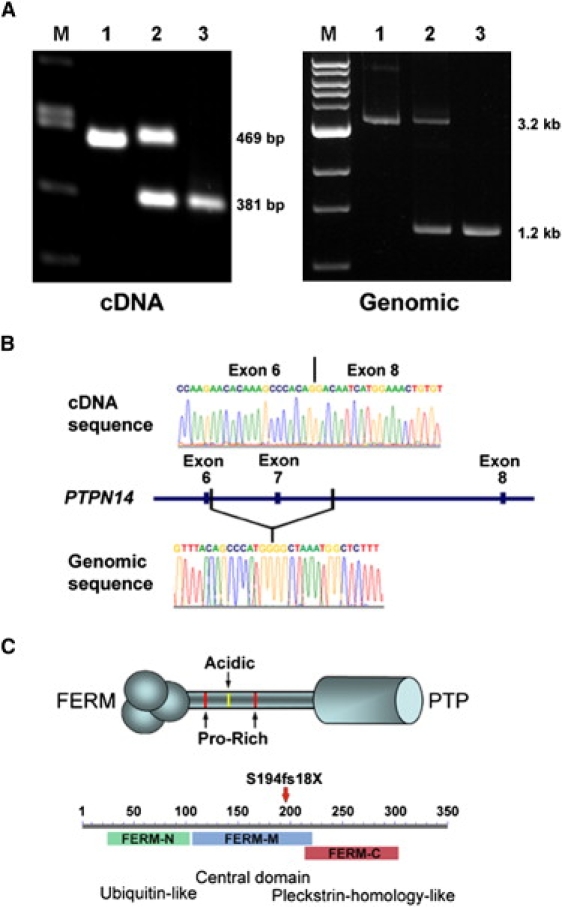 Figure 2