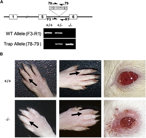 Figure 3